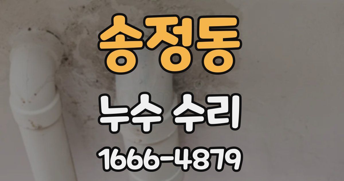 송정동 누수 수리