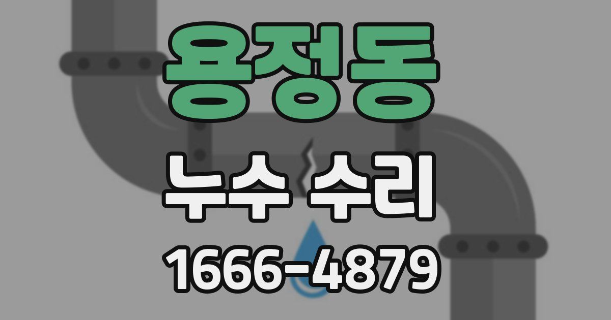 용정동 누수 수리