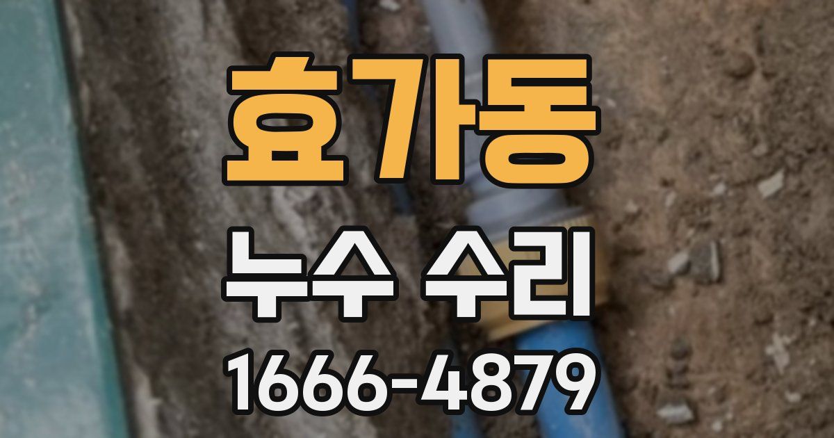효가동 누수 수리