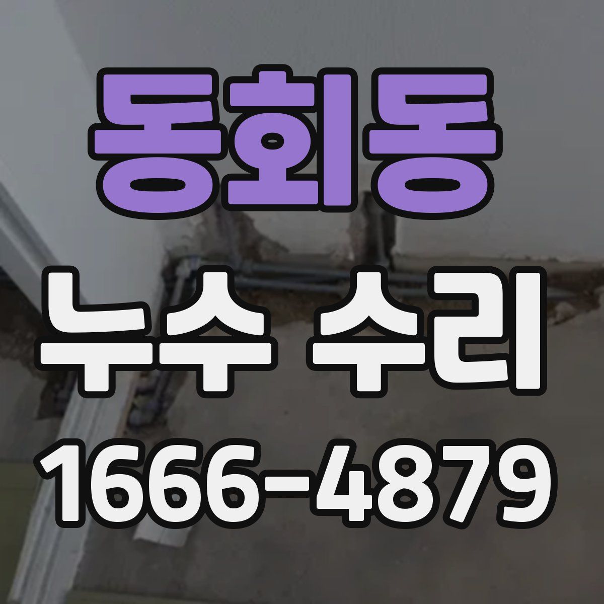 동회동 누수 수리