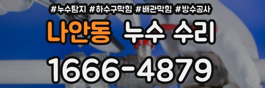 나안동 누수 수리
