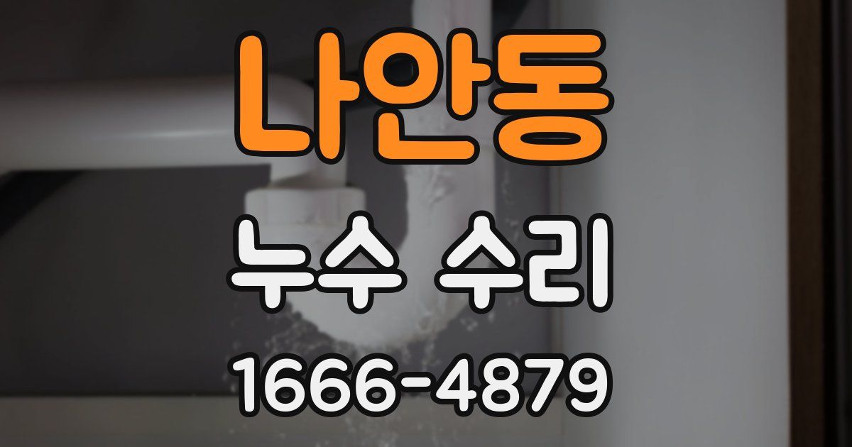나안동 누수 수리