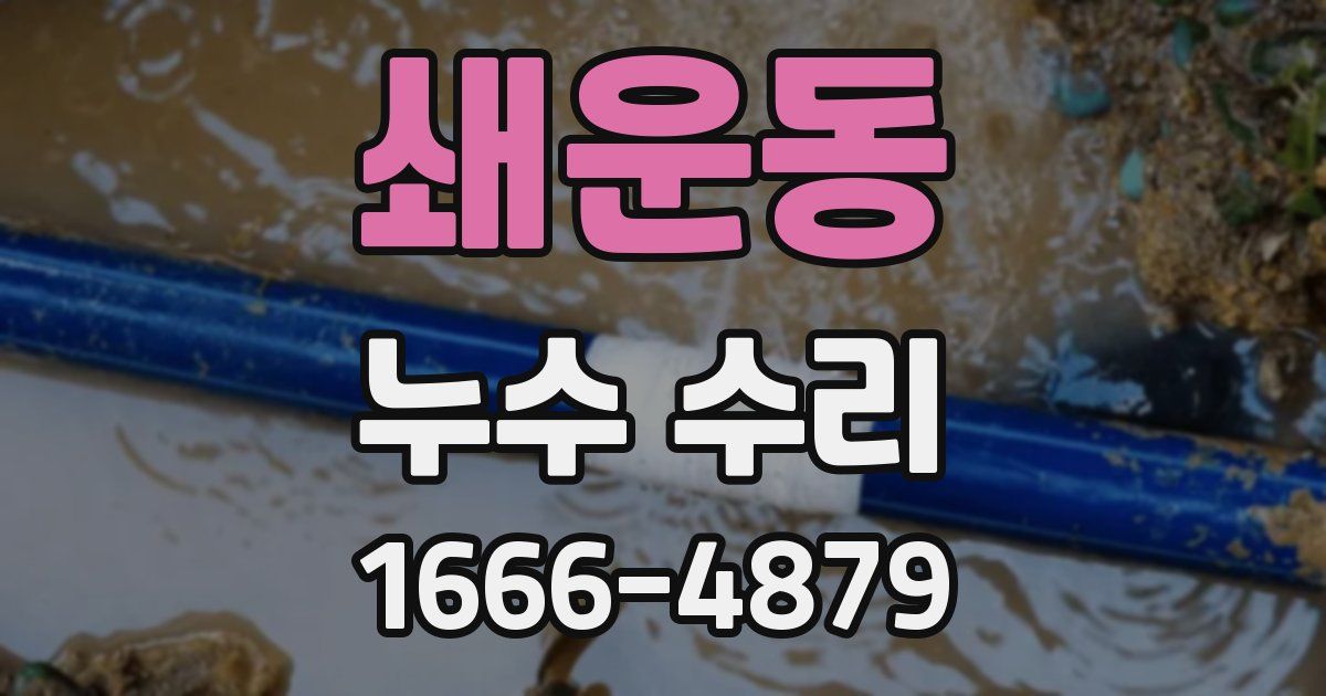 쇄운동 누수 수리