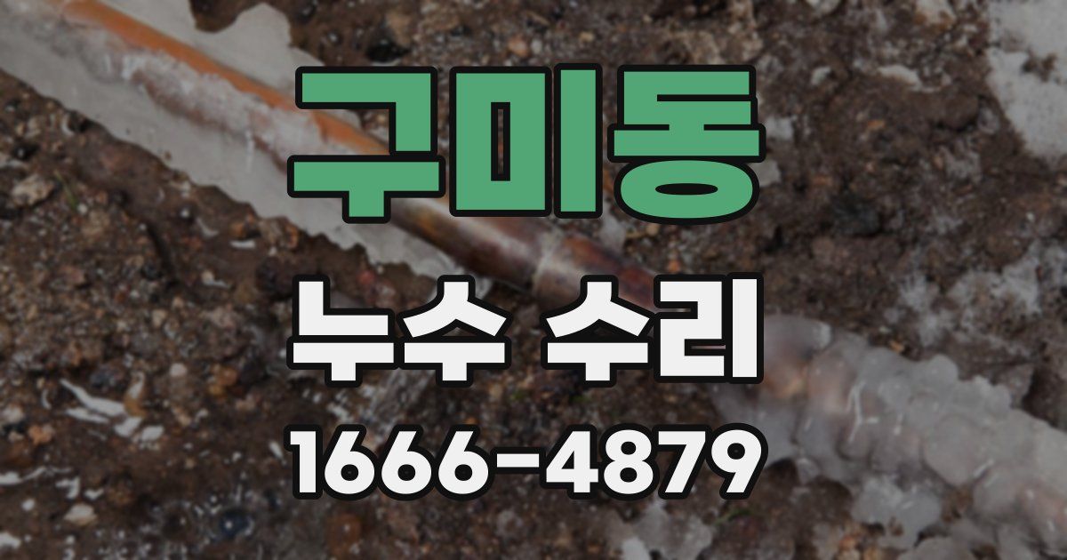구미동 누수 수리