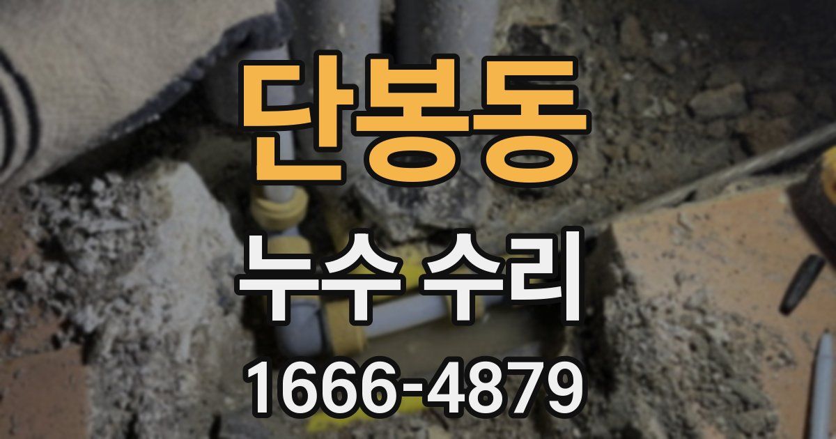 단봉동 누수 수리