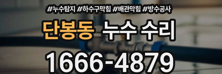 단봉동 누수 수리