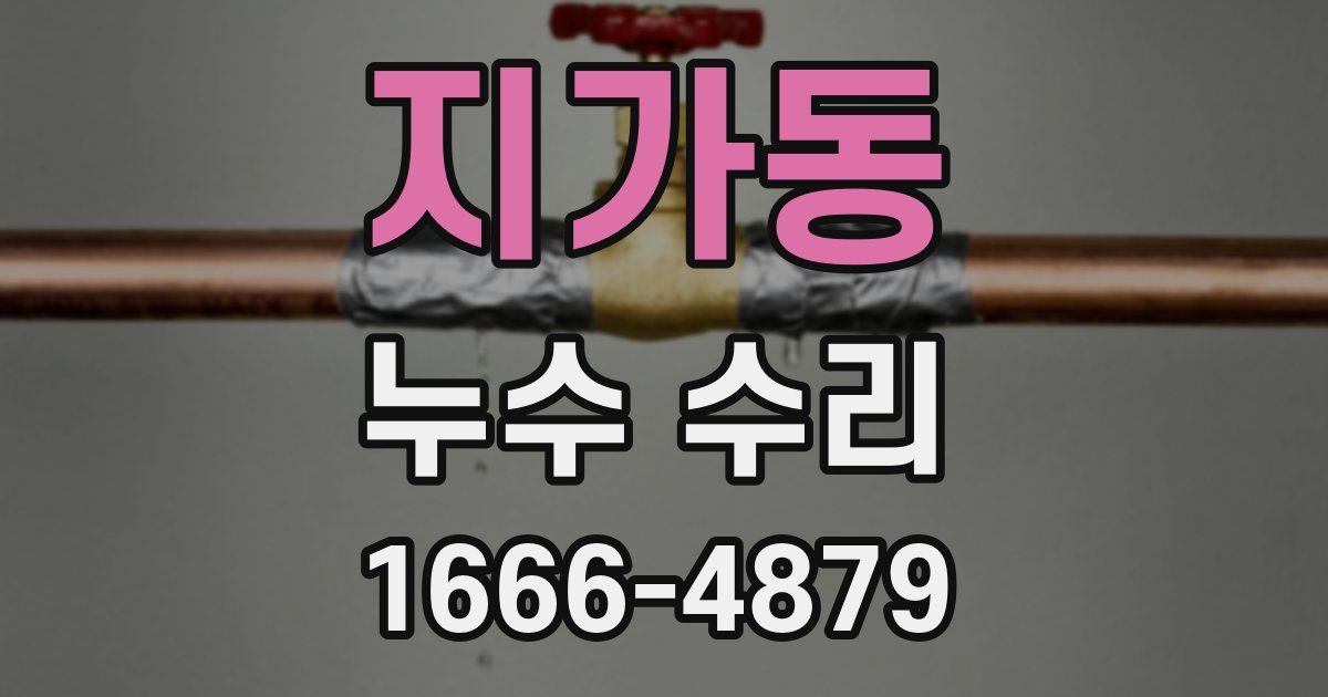 지가동 누수 수리