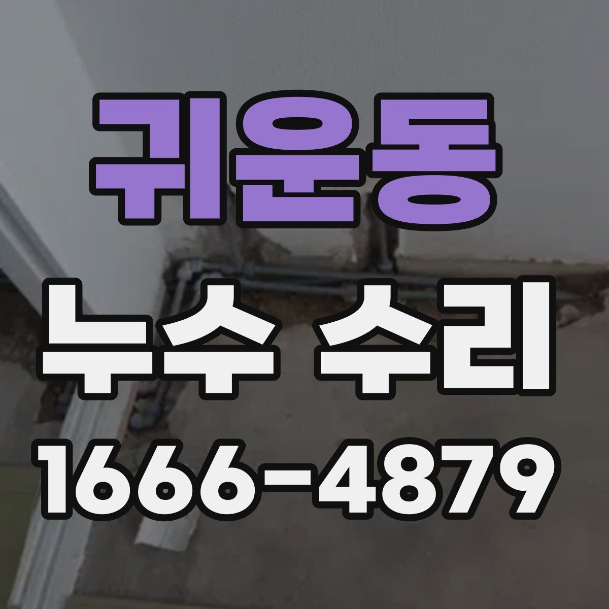귀운동 누수 수리