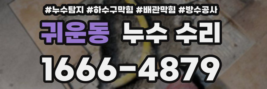 귀운동 누수 수리