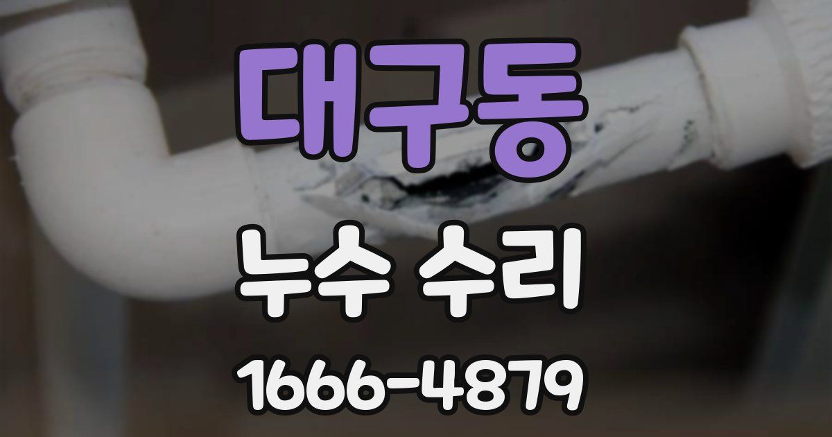 대구동 누수 수리