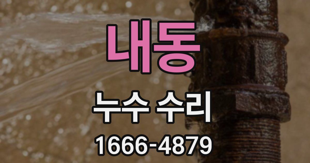 내동 누수 수리