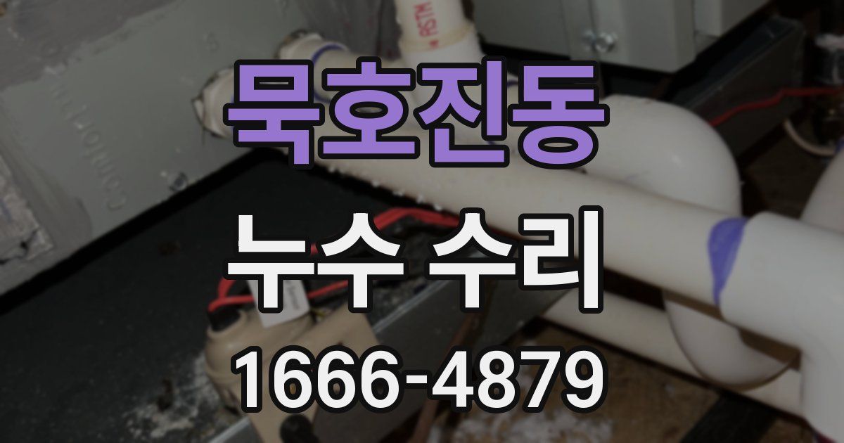 묵호진동 누수 수리