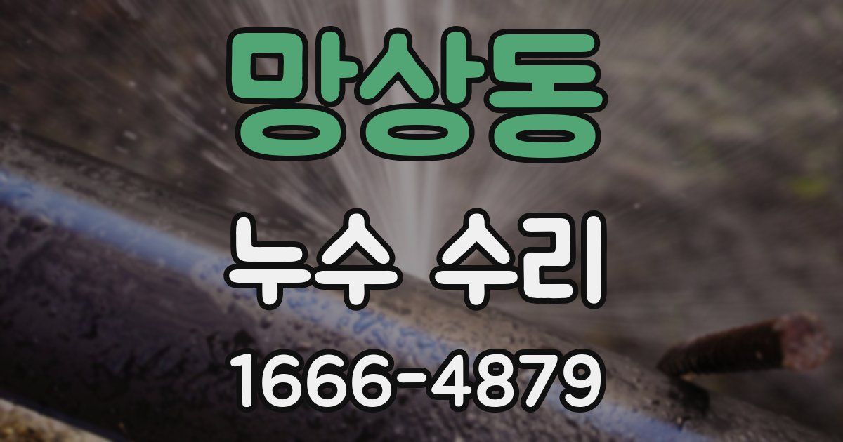 망상동 누수 수리