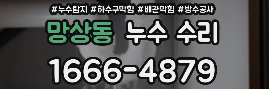 망상동 누수 수리