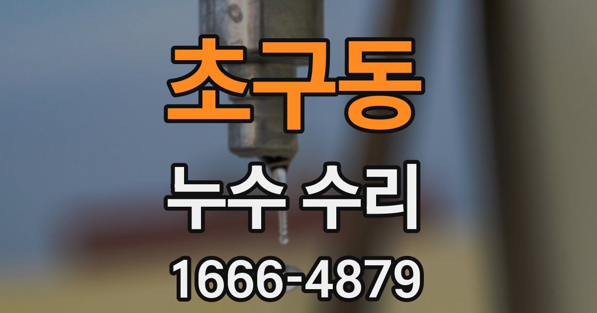 초구동 누수 수리