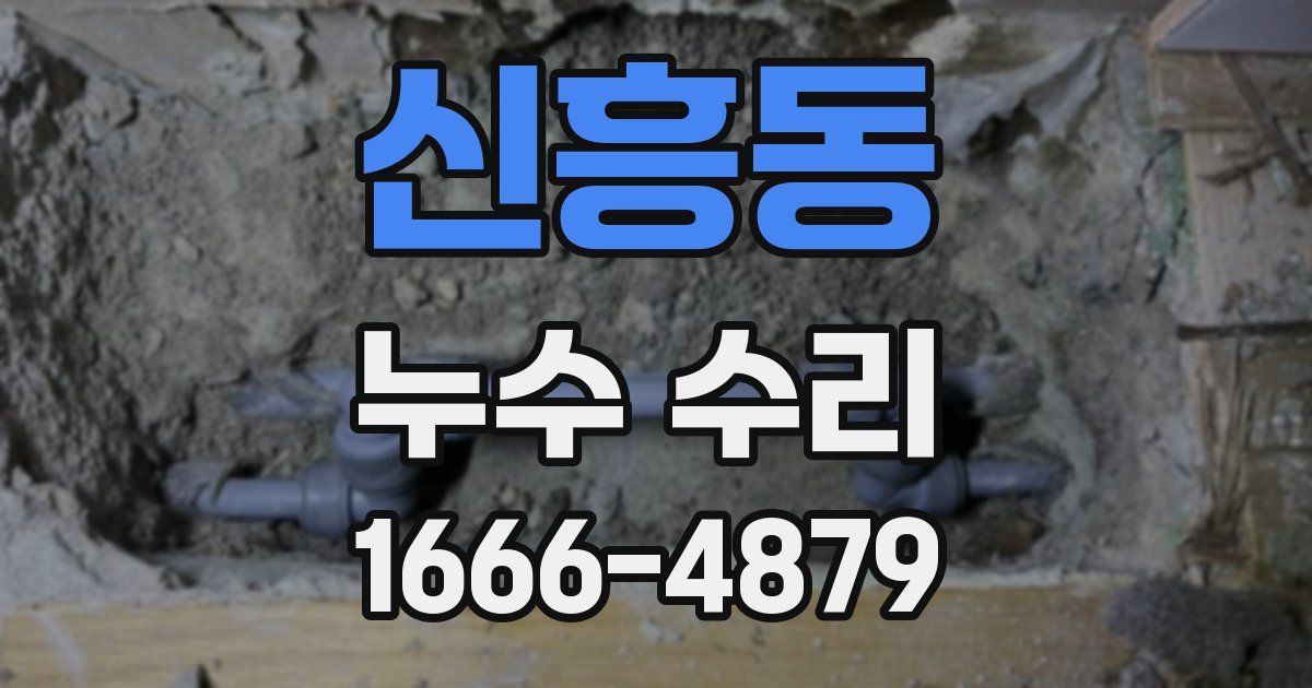 신흥동 누수 수리