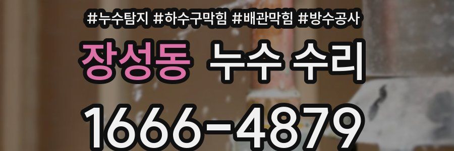 장성동 누수 수리
