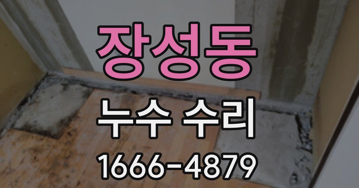 장성동 누수 수리