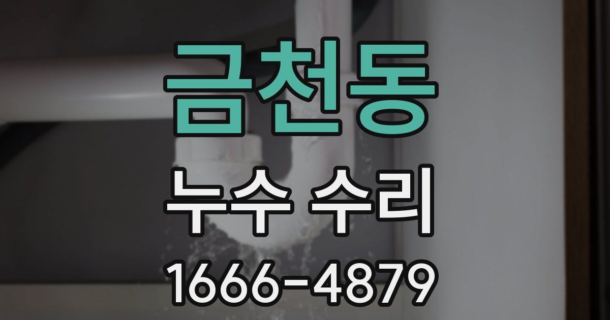 금천동 누수 수리