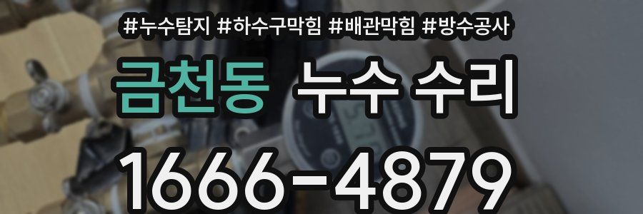 금천동 누수 수리
