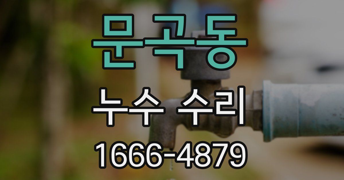 문곡동 누수 수리