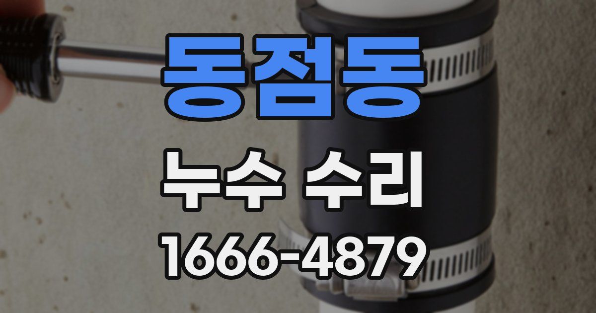 동점동 누수 수리