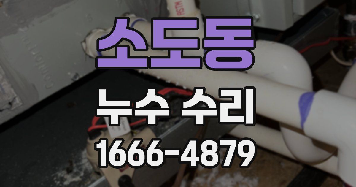소도동 누수 수리