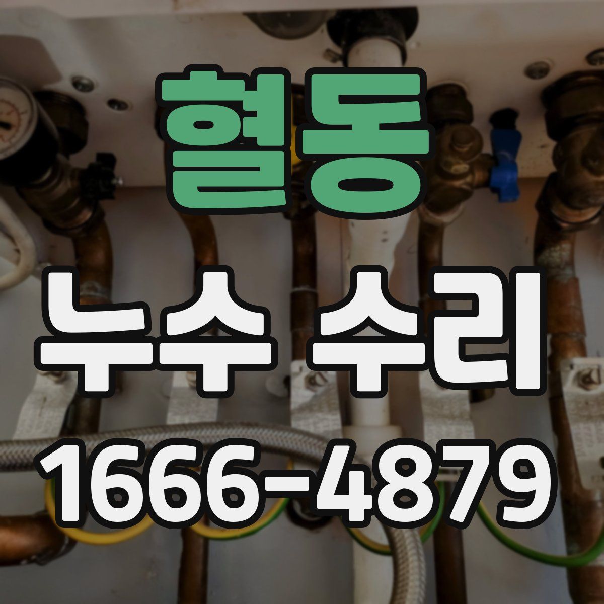 혈동 누수 수리