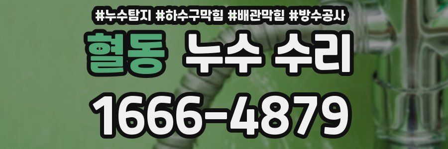 혈동 누수 수리