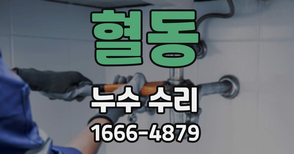 혈동 누수 수리