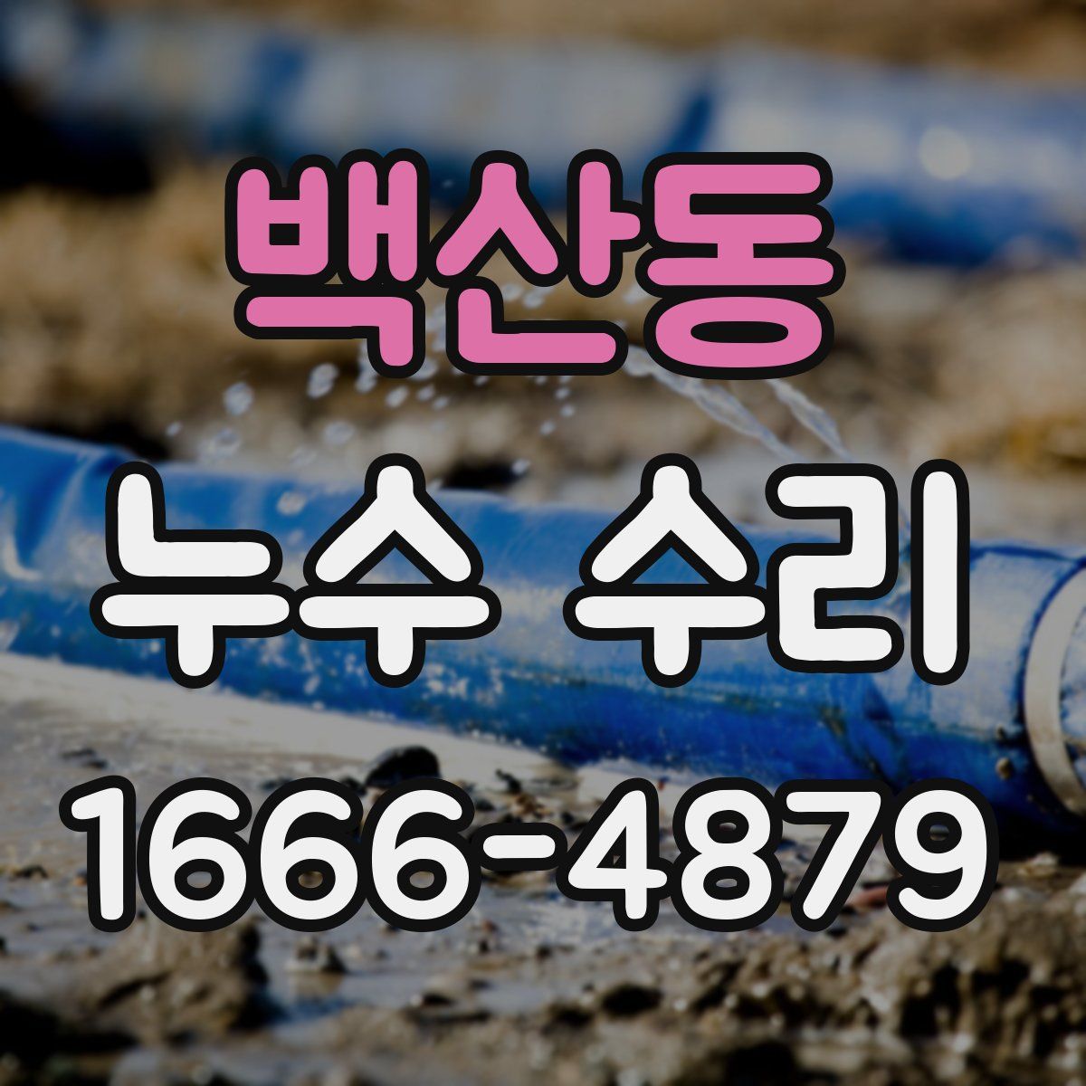 백산동 누수 수리