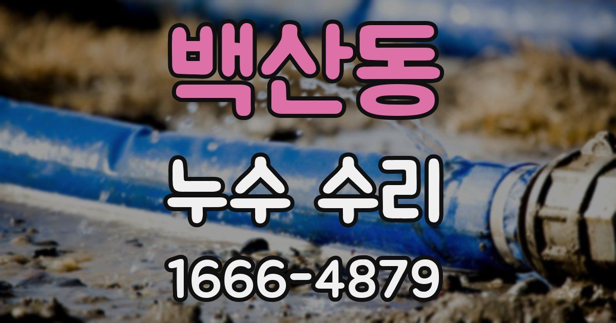 백산동 누수 수리