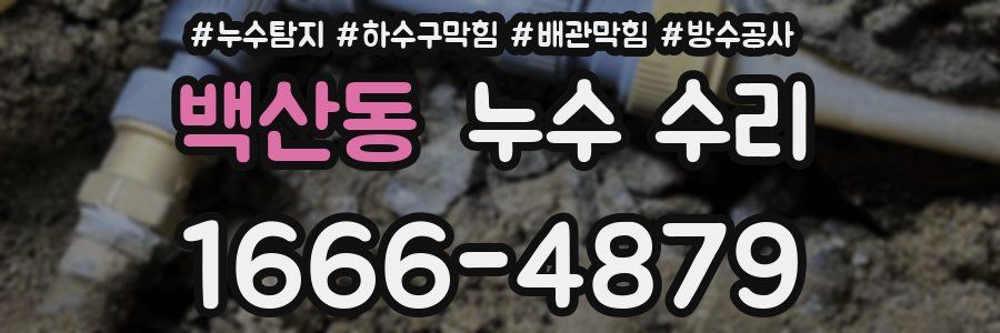 백산동 누수 수리