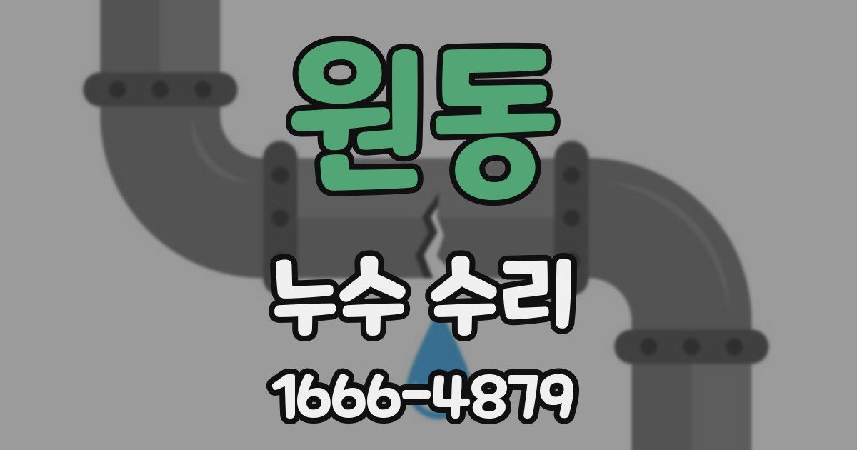 원동 누수 수리