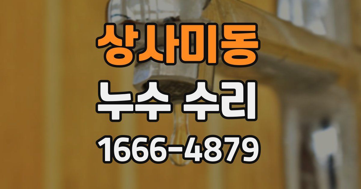 상사미동 누수 수리
