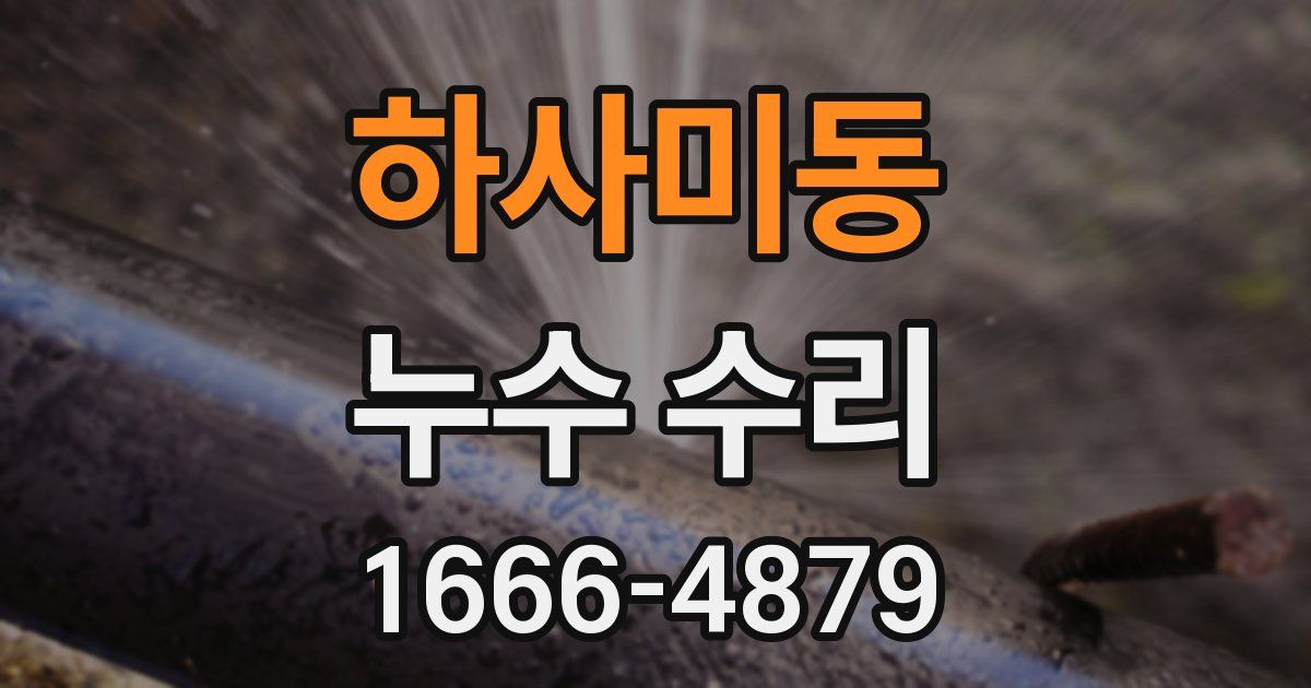 하사미동 누수 수리