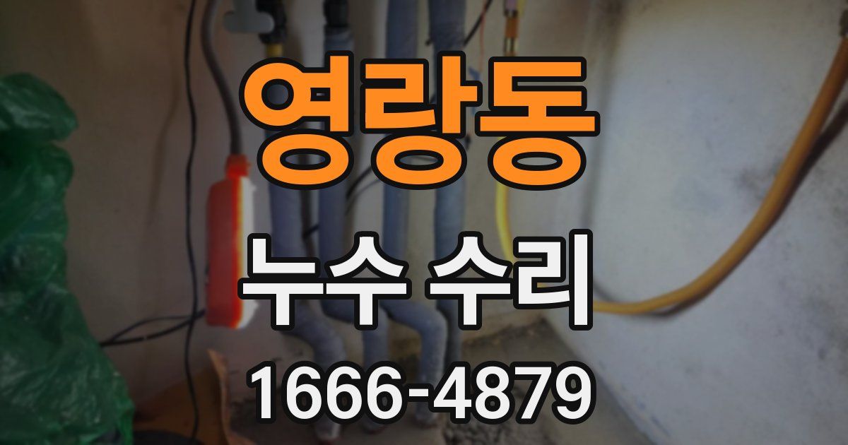 영랑동 누수 수리