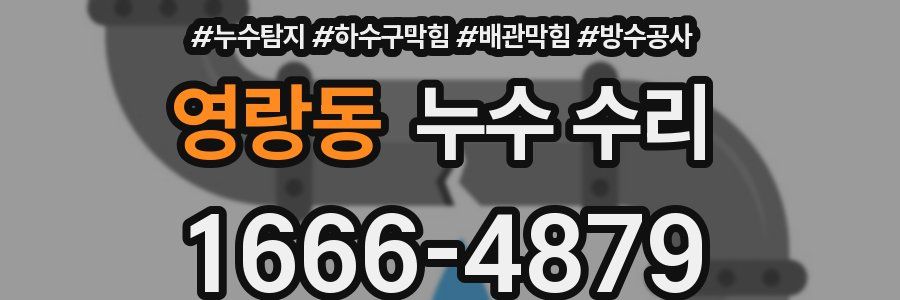 영랑동 누수 수리
