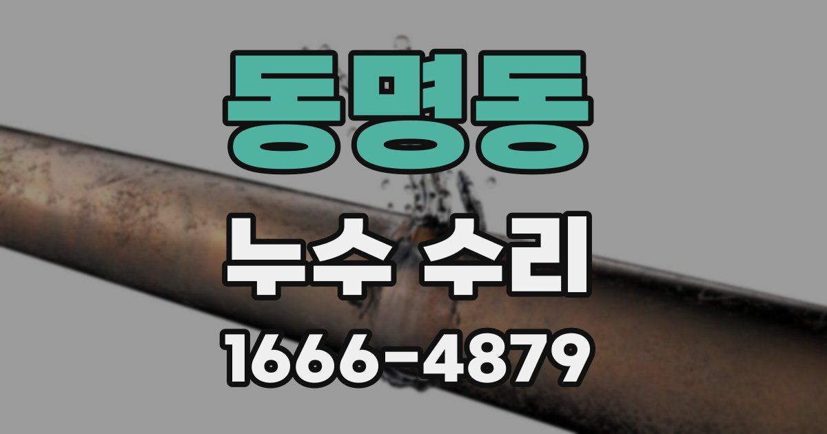 동명동 누수 수리