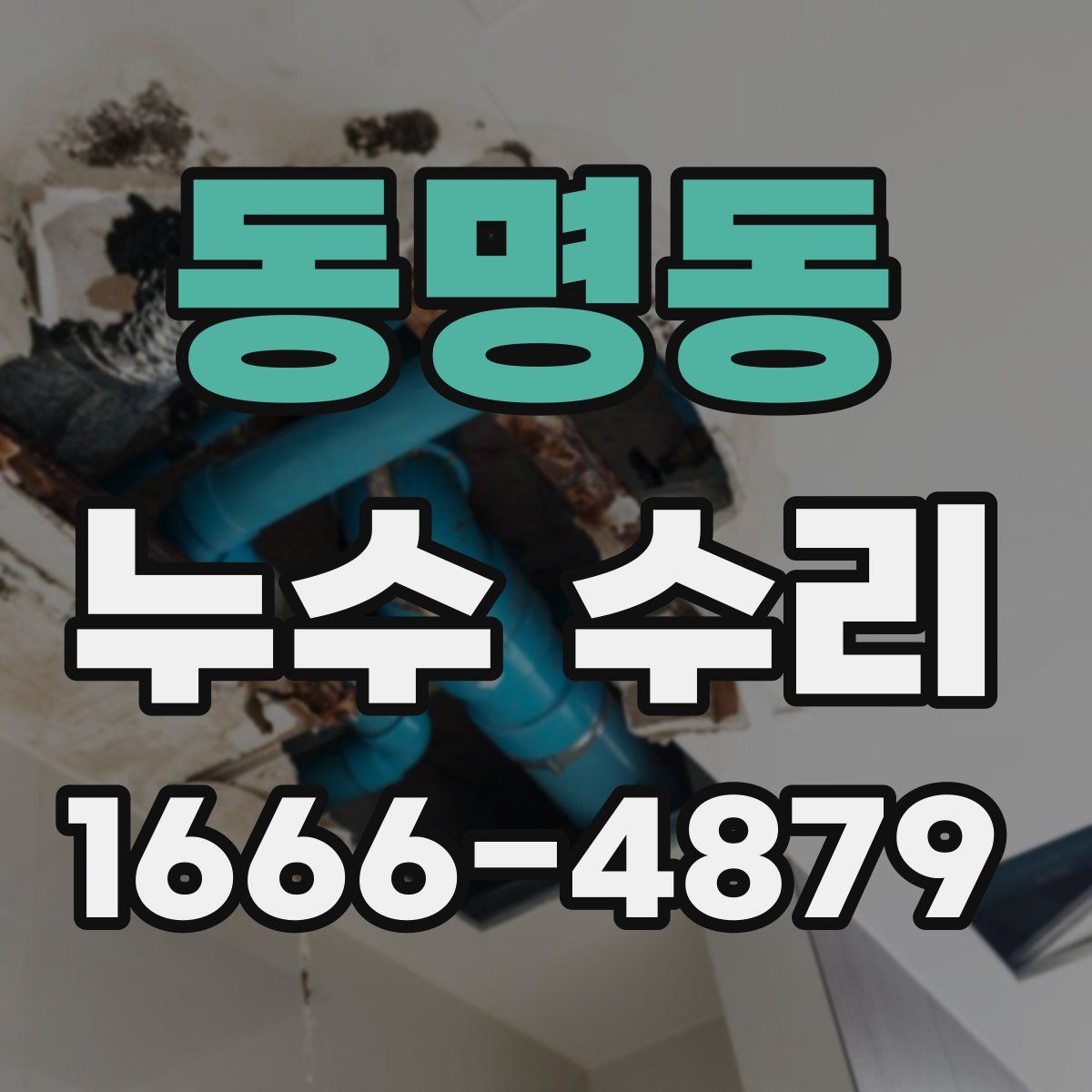 동명동 누수 수리