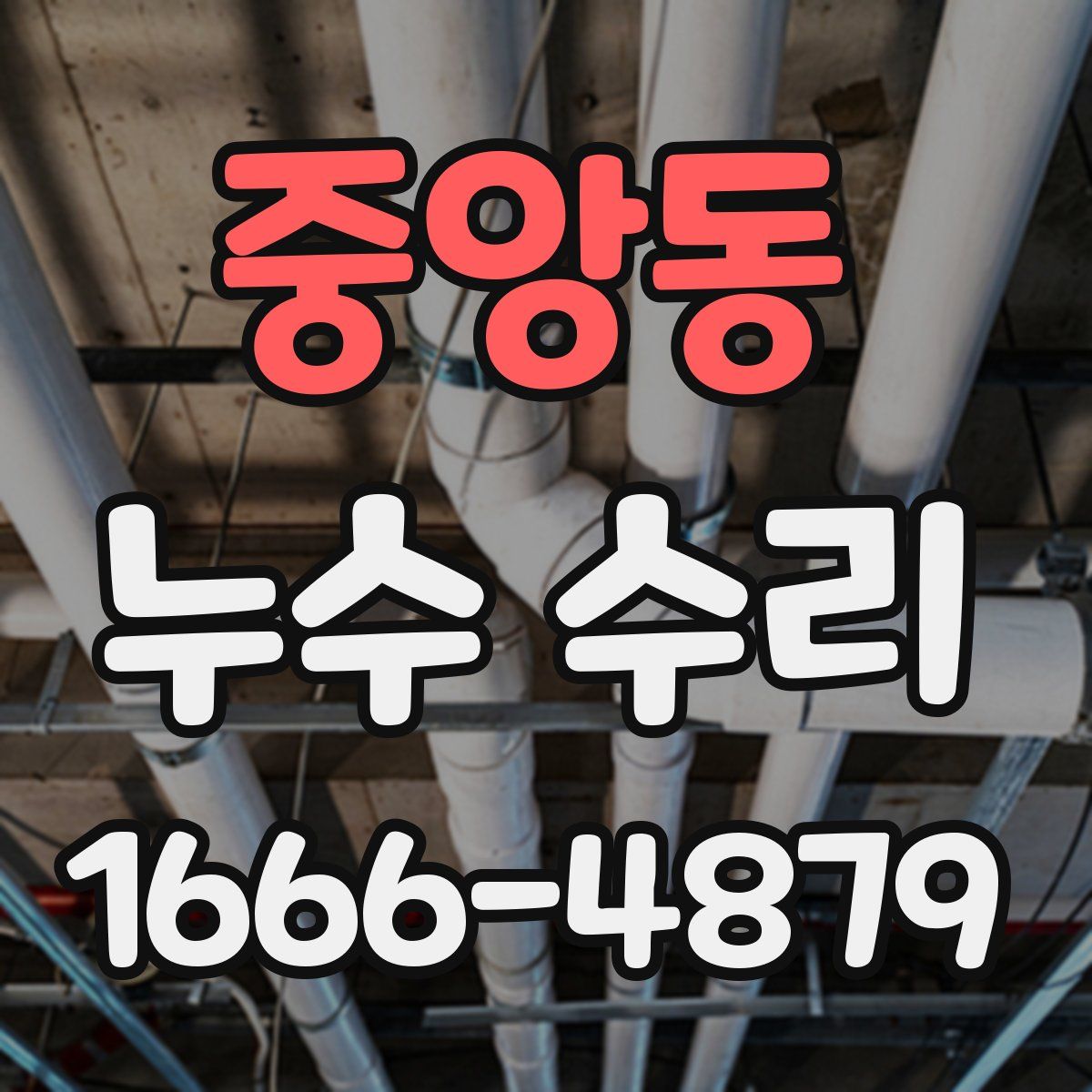 중앙동 누수 수리