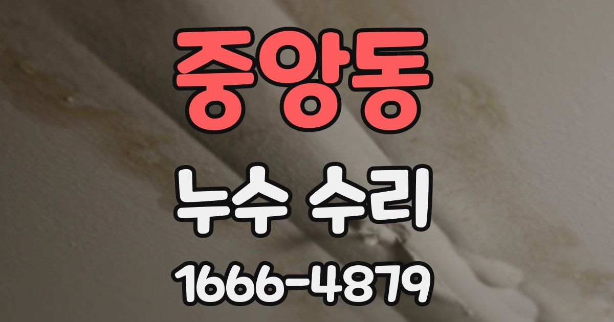 중앙동 누수 수리