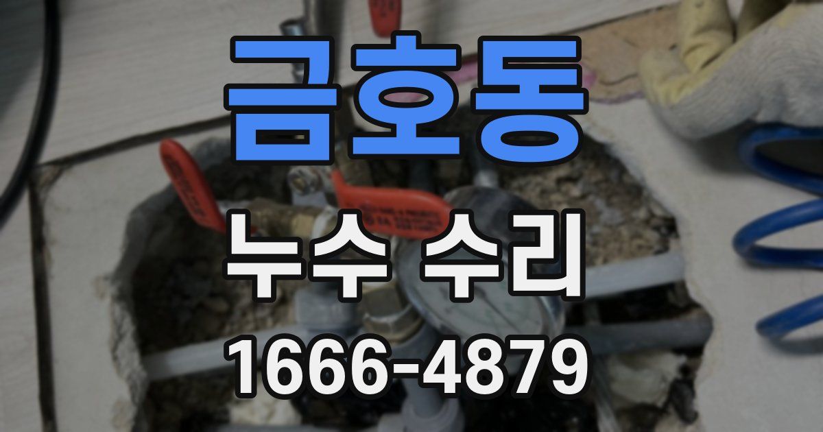 금호동 누수 수리
