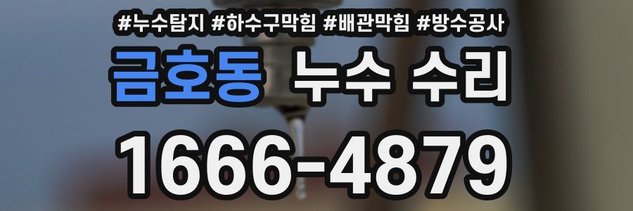 금호동 누수 수리