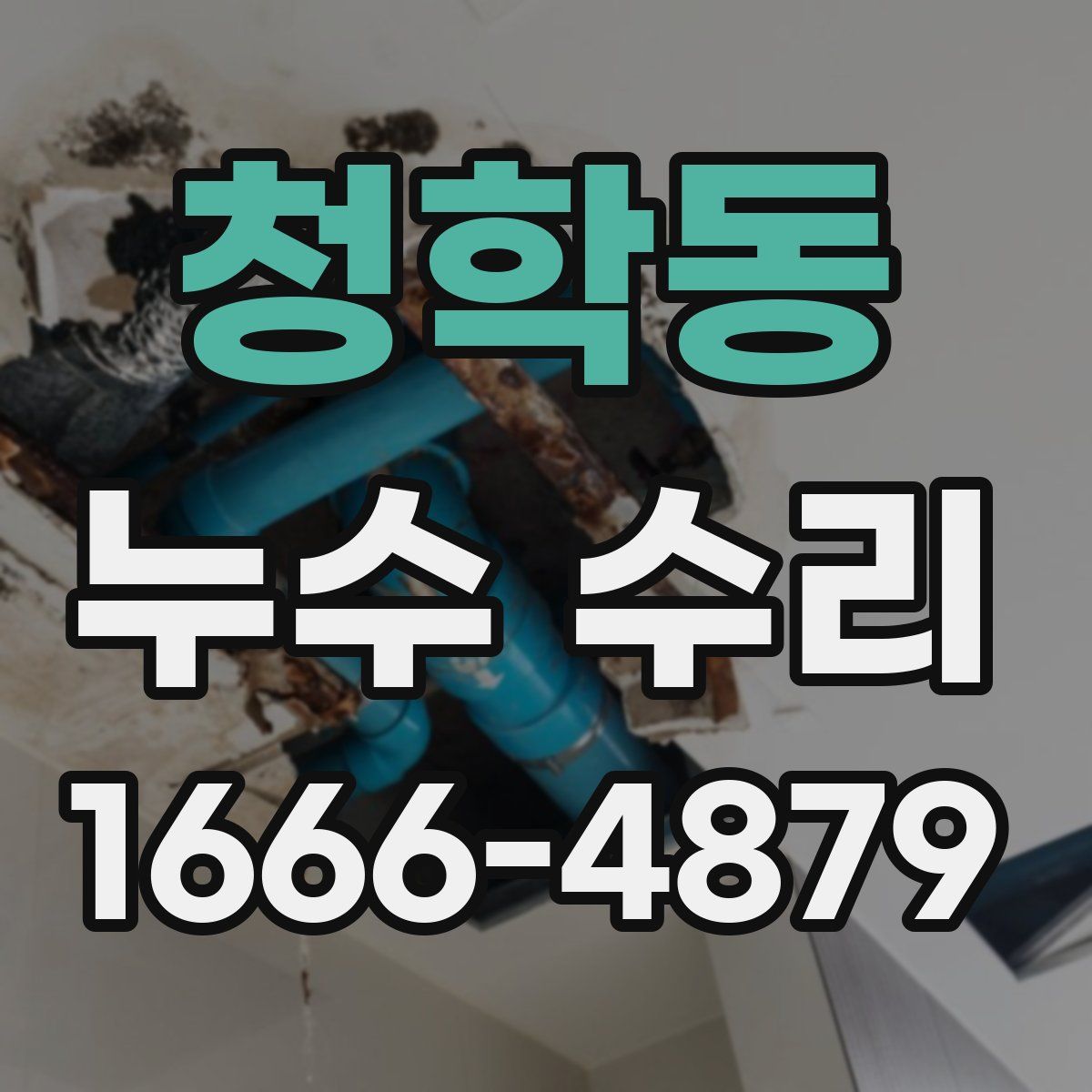 청학동 누수 수리