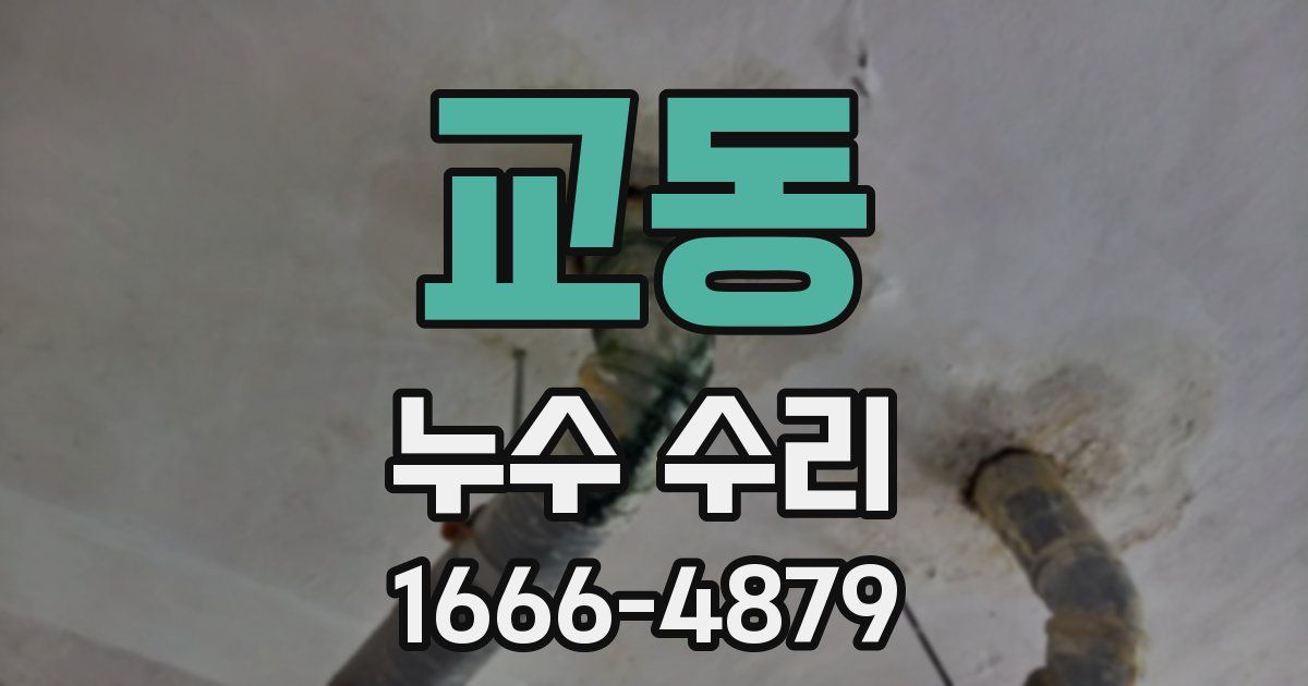 교동 누수 수리