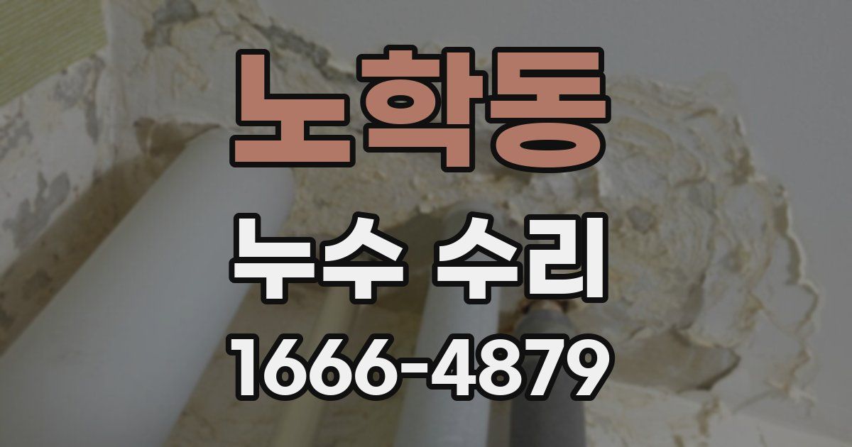 노학동 누수 수리