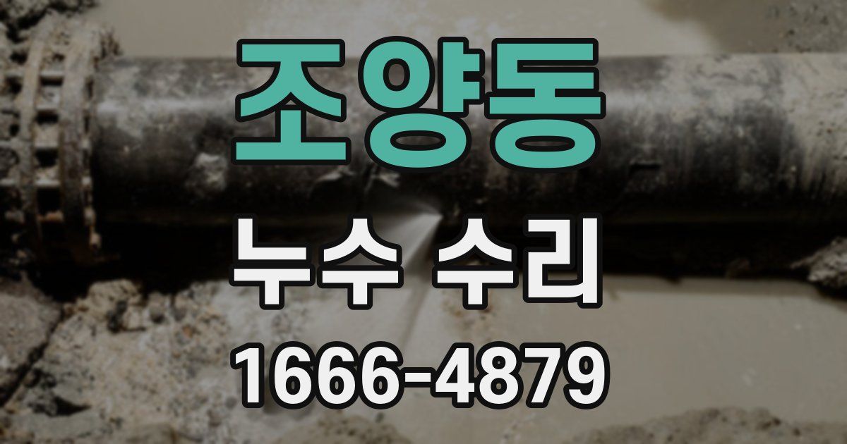 조양동 누수 수리