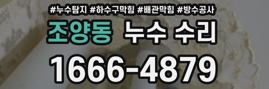 조양동 누수 수리