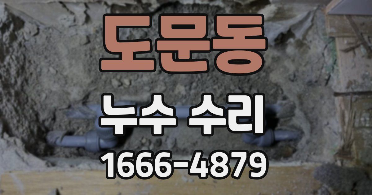 도문동 누수 수리